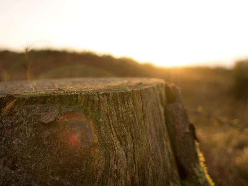 sudoku backup save screenshot 1